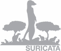 Suricata icon