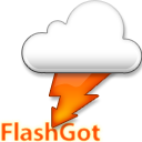 FlashGot icon