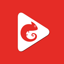 Live Broadcaster - Cameleon icon