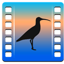 Curlew icon