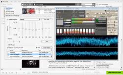 Equalizer/DSP Plugins (Winamp-compatible)