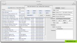 Tagger supports batch file renaming using the field of the audio files.