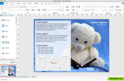 MyDraw Flyers and Certificates Brochure Teddy Bear Brochure