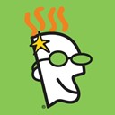 GoDaddy icon