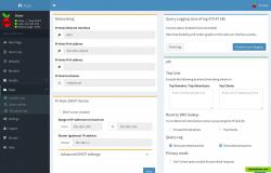 The settings page lets you control and configure your Pi-hole.