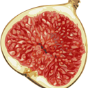 Fig icon